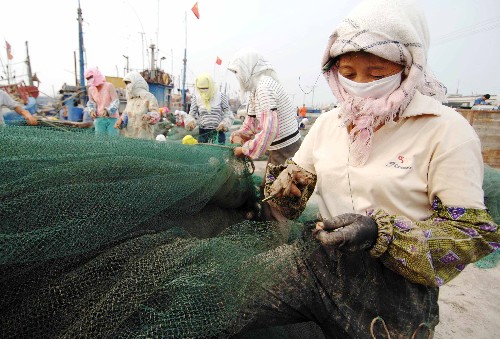 休渔期结束渤海对虾开捞 金秋时节登上百姓餐