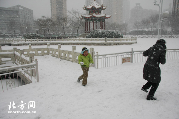 拍雪景 打雪仗 堆雪人 津城市民尽享冬日雪趣-