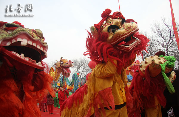 『万兽之王』昂首津门 舞狮绝技传递中国文化