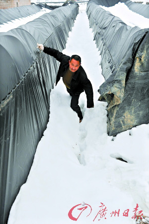 1��22��A�Q�{�ɤ��a�ϥɫ̿����a�����T�Y�������i���бq�Q�n��������Ĩۣ�j�׮��}�����L�C �s�ت� �o