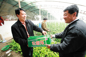 天津市农产品现代物流:城乡互利-农产品,物流配