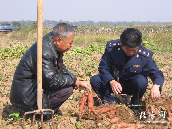 天津静海工商局帮扶农民实现产销对接-天津工商局