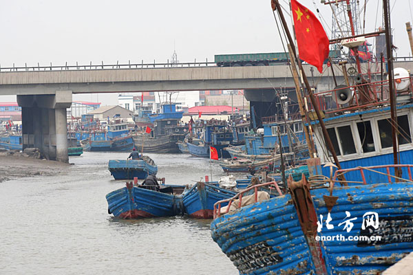 滨海汉沽海鲜美食节开幕 游客可体验渔村生活