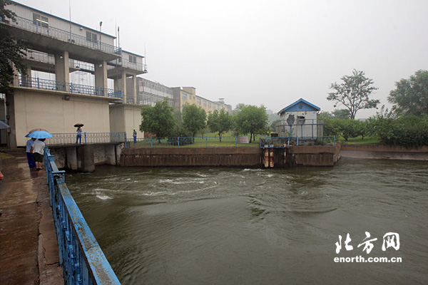 滦河水津城第一站:小鱼儿充当水质安全卫士-引