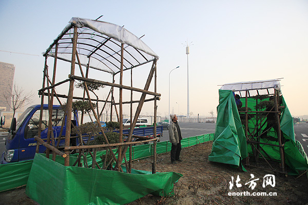 天津开始冬季园林养护工作 给树木穿『棉衣』