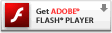 o Adobe Flash Player