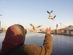 海门大桥附近市民每天都来给红嘴鸥喂食(图)