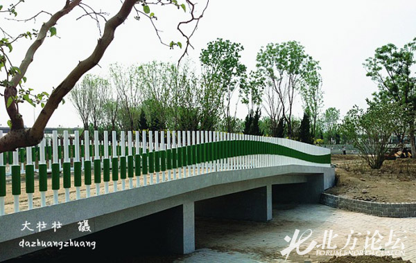 网友实拍:绿水园年内建成让津城更好『呼吸』