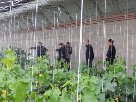 蓟县强化种子质量监管提高蔬菜种子质量水平
