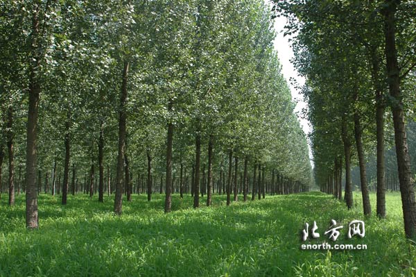 静海县构建现代产业体系 走上 绿色循环 发展路