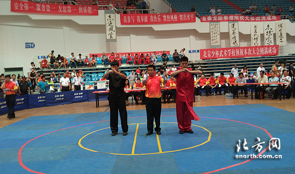 天津市太极推手代表队在北京国际武术节获佳绩
