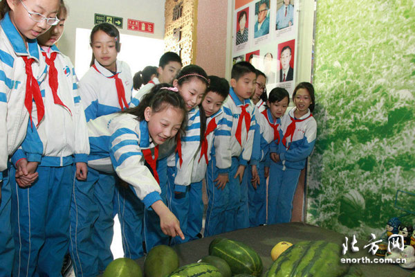 华辰学校学生赴北京小学翡翠城分校游学访问