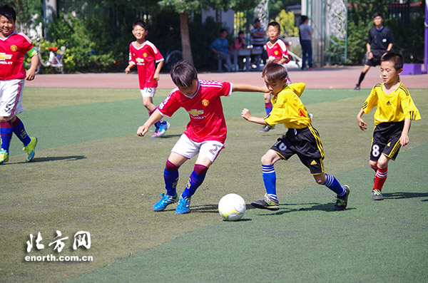 天津青少年足球联赛开幕 全市62支精英球队参
